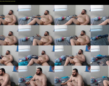 bearshuffle