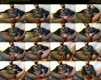 kingcat82