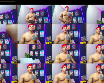 brankosilva