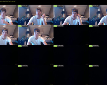 kane_falcon