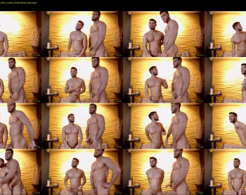 savage_studs