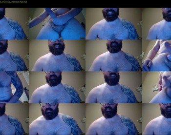 beardgame227