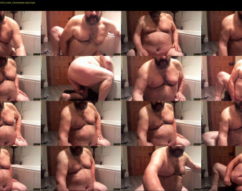 bearsteve75