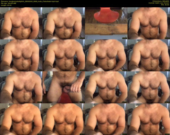 hunghairydaddydick