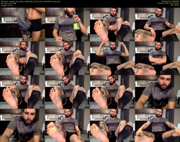 master_joey_desu