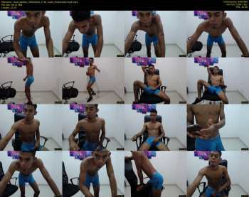 chad_stallion