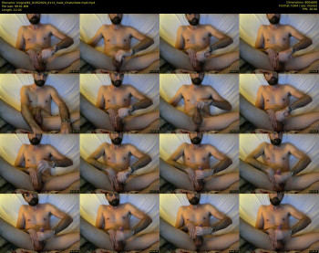 kingcat82