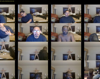 qdogstyle