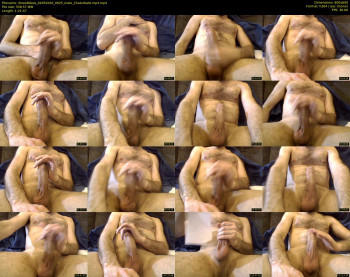 ibreedbbws