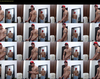 mestymys