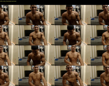 teddyfit19cm