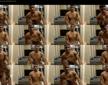 teddyfit19cm