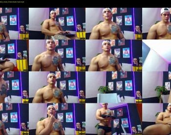 brankosilva