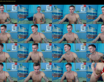 maxwelldave