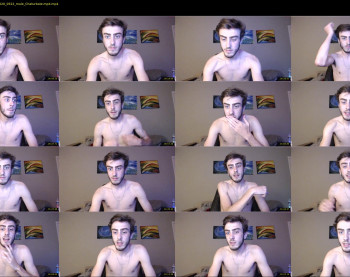 sexual_vibrations