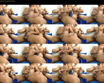 willmenbear