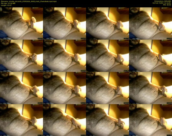 nicolas_vincent1