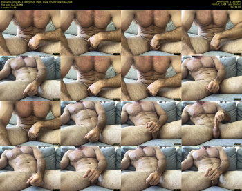 stroke511