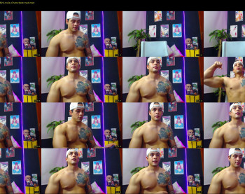 brankosilva