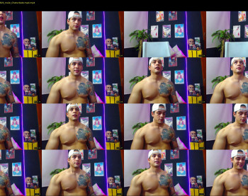 brankosilva