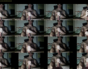 dalfox_94