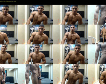 teddyfit19cm