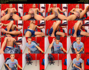 york_littlex