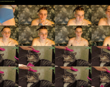 curtis_roy