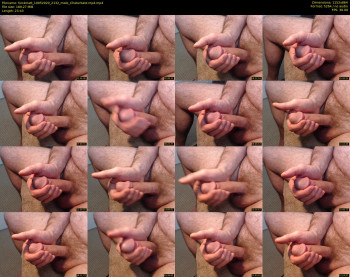 fun4matt