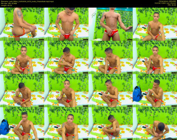 york_littlex