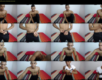 chad_stallion