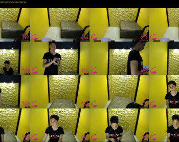 daniel_horse