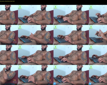 thiago_fox