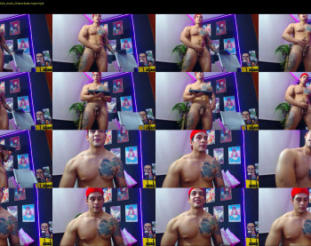 brankosilva