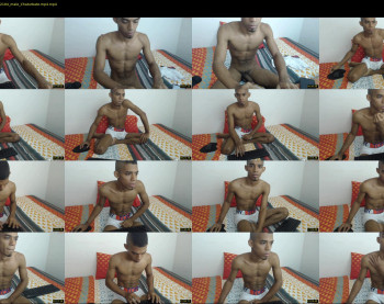 chad_stallion