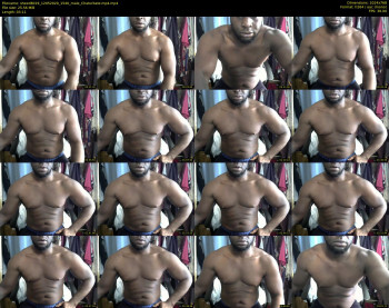 sheed8019