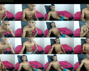 chad_stallion