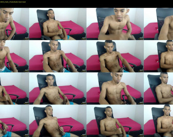 chad_stallion
