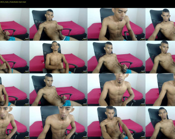 chad_stallion
