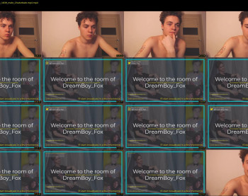 dreamboy_fox