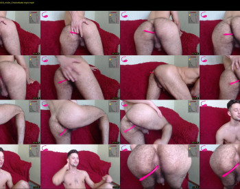 papimodels