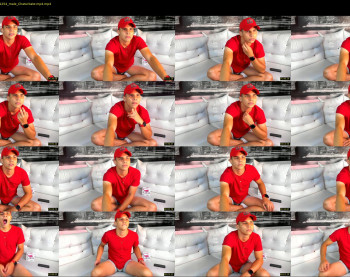 thomaswildd