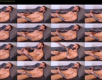 alphamatteo