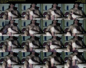 dalfox_94