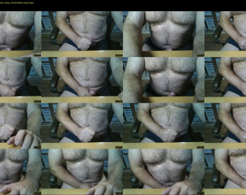furrybear2
