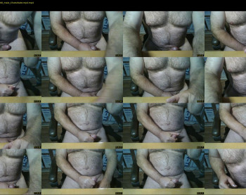 furrybear2