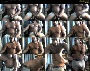sheed8019