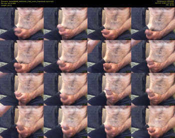 donee6699