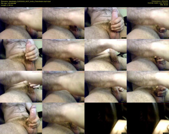 stevebabs