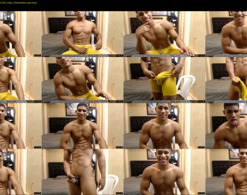 teddyfit19cm